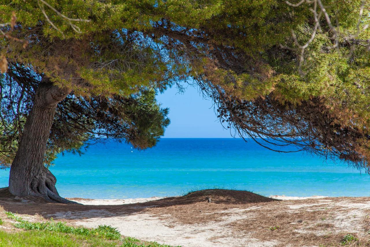 Вилла Formentera 2 Кан Пикафорт Экстерьер фото